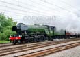 Photograph of FLYING SCOTSMAN - 60103 FLYING SCOTSMAN at Tilehurst on 07/06/23