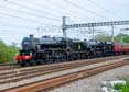 Photograph of Black Five - 44871 Black Five &  45407 THE LANCASHIRE FUSILIER at Tilehurst on 13/04/24