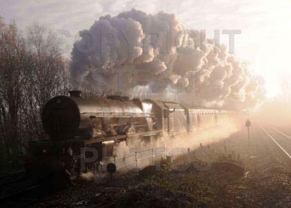 Purchase posters of 46201 PRINCESS ELIZABETH
