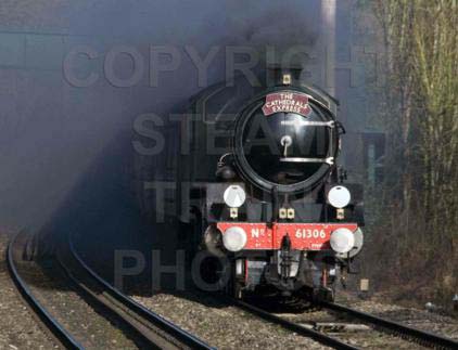 Purchase posters of 61306 MAYFLOWER