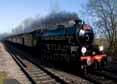 Photograph of MAYFLOWER - 61306 MAYFLOWER at Tilehurst on 01/04/15