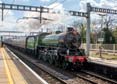 Photograph of MAYFLOWER - 61306 MAYFLOWER at Tilehurst on 08/04/23