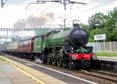 Photograph of MAYFLOWER - 61306 MAYFLOWER at Tilehurst on 22/08/21