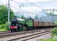 Photograph of MAYFLOWER - 61306 MAYFLOWER at Tilehurst on 26/05/22