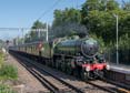 Photograph of MAYFLOWER - 61306 MAYFLOWER at Tilehurst on 27/06/19