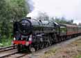 Photograph of OLIVER CROMWELL - 70013 OLIVER CROMWELL at Tilehurst on 07/07/12