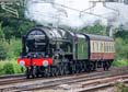 Photograph of ROYAL SCOT - 46100 ROYAL SCOT at Tilehurst on 13/09/21