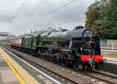 Photograph of ROYAL SCOT - 46100 ROYAL SCOT at Tilehurst on 13/09/21