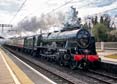Photograph of ROYAL SCOT - 46100 ROYAL SCOT at Tilehurst on 16/03/24