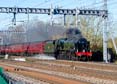 Photograph of SCOTS GUARDSMAN - 46115 SCOTS GUARDSMAN at Tilehurst on 25/11/23