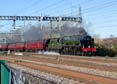 Photograph of SCOTS GUARDSMAN - 46115 SCOTS GUARDSMAN at Tilehurst on 25/11/23