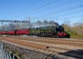 Photograph of SCOTS GUARDSMAN - 46115 SCOTS GUARDSMAN at Tilehurst on 25/11/23
