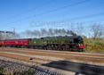 Photograph of SCOTS GUARDSMAN - 46115 SCOTS GUARDSMAN at Tilehurst on 25/11/23