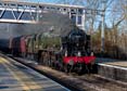 Photograph of SCOTS GUARDSMAN - 46115 SCOTS GUARDSMAN at Tilehurst on 25/11/23