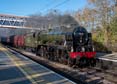 Photograph of SCOTS GUARDSMAN - 46115 SCOTS GUARDSMAN at Tilehurst on 25/11/23