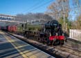 Photograph of SCOTS GUARDSMAN - 46115 SCOTS GUARDSMAN at Tilehurst on 25/11/23