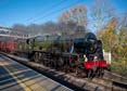 Photograph of SCOTS GUARDSMAN - 46115 SCOTS GUARDSMAN at Tilehurst on 25/11/23