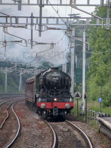 See large image
