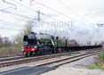 Photograph of FLYING SCOTSMAN - 60103 FLYING SCOTSMAN at Tilehurst on 05/03/22