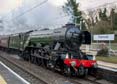 Photograph of FLYING SCOTSMAN - 60103 FLYING SCOTSMAN at Tilehurst on 05/03/22