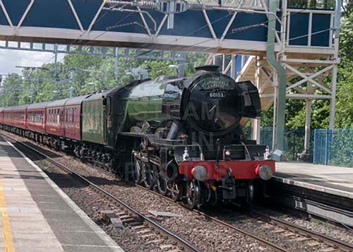 See large image