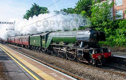 Purchase posters of 60103 FLYING SCOTSMAN