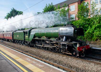 Purchase photo of 60103 FLYING SCOTSMAN at Tilehurst