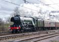 Photograph of FLYING SCOTSMAN - 60103 FLYING SCOTSMAN at Tilehurst on 13/03/22
