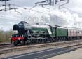 Photograph of FLYING SCOTSMAN - 60103 FLYING SCOTSMAN at Tilehurst on 13/03/22