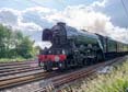 Photograph of FLYING SCOTSMAN - 60103 FLYING SCOTSMAN at Tilehurst on 15/06/19