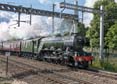 Photograph of FLYING SCOTSMAN - 60103 FLYING SCOTSMAN at Tilehurst on 15/06/19