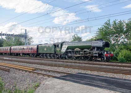 Purchase photo of 60103 FLYING SCOTSMAN at Tilehurst