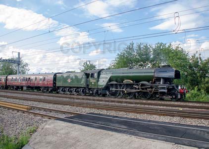Purchase photo of 60103 FLYING SCOTSMAN at Tilehurst