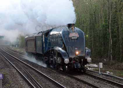 Purchase photo of 60007 SIR NIGEL GRESLEY at Tilehurst