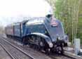 Photograph of SIR NIGEL GRESLEY - 60007 SIR NIGEL GRESLEY at Tilehurst on 10/04/14