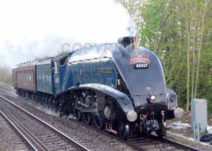 Purchase photo of 60007 SIR NIGEL GRESLEY at Tilehurst
