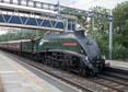 Photograph of UNION OF SOUTH AFRICA - 60009 UNION OF SOUTH AFRICA at Tilehurst on 16/06/18