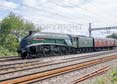 Photograph of UNION OF SOUTH AFRICA - 60009 UNION OF SOUTH AFRICA at Tilehurst on 17/08/19