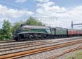 Photograph of UNION OF SOUTH AFRICA - 60009 UNION OF SOUTH AFRICA at Tilehurst on 17/08/19