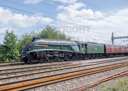 Purchase photo of 60009 UNION OF SOUTH AFRICA at Tilehurst