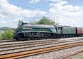 Photograph of UNION OF SOUTH AFRICA - 60009 UNION OF SOUTH AFRICA at Tilehurst on 17/08/19