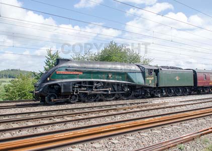 Purchase photo of 60009 UNION OF SOUTH AFRICA at Tilehurst