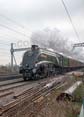 Photograph of UNION OF SOUTH AFRICA - 60009 UNION OF SOUTH AFRICA at Tilehurst on 22/11/18