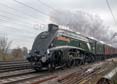 Photograph of UNION OF SOUTH AFRICA - 60009 UNION OF SOUTH AFRICA at Tilehurst on 22/11/18