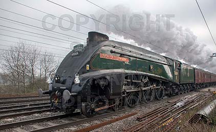 Purchase posters of 60009 UNION OF SOUTH AFRICA
