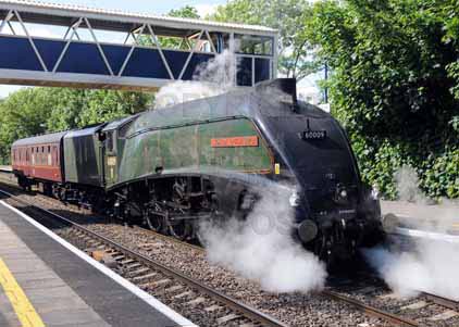 Purchase photo of 60009 UNION OF SOUTH AFRICA at Tilehurst