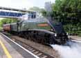 Photograph of UNION OF SOUTH AFRICA - 60009 UNION OF SOUTH AFRICA at Tilehurst on 25/05/14