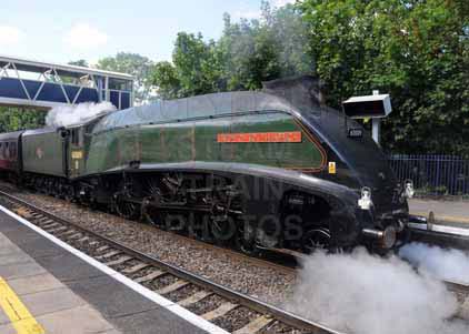 Purchase photo of 60009 UNION OF SOUTH AFRICA at Tilehurst