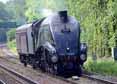 Photograph of UNION OF SOUTH AFRICA - 60009 UNION OF SOUTH AFRICA at Tilehurst on 25/05/14