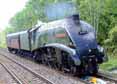 Photograph of UNION OF SOUTH AFRICA - 60009 UNION OF SOUTH AFRICA at Tilehurst on 25/05/14
